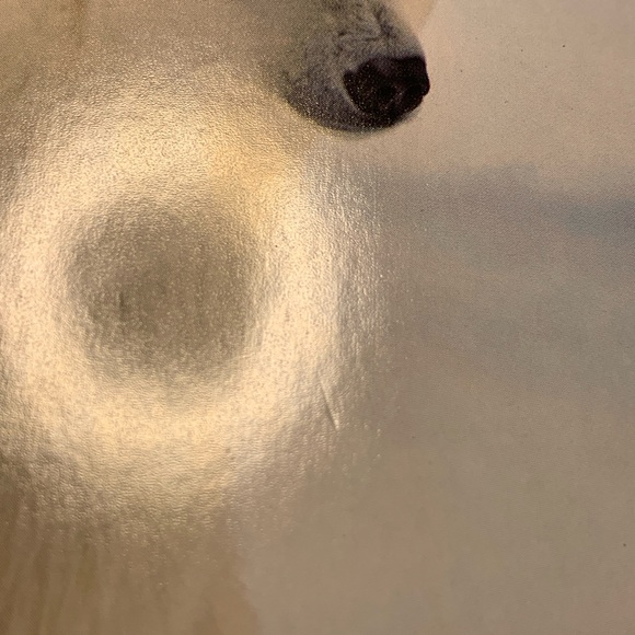 ⭐️BOGO//14-pack Polar Bear Christmas Cards - Picture 14 of 16